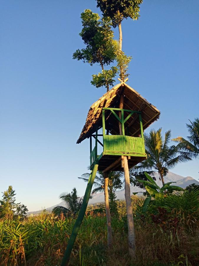 Mudung Keramat Homestay Sapit Exteriér fotografie