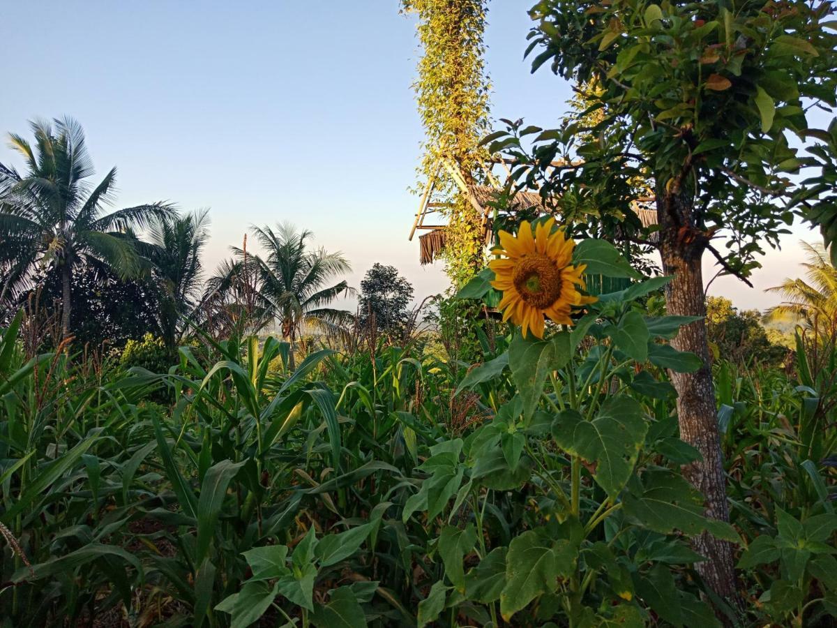Mudung Keramat Homestay Sapit Exteriér fotografie